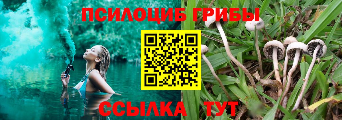 Донецк  Псилоцибиновые грибы Magic Shrooms  Вход с VPN 