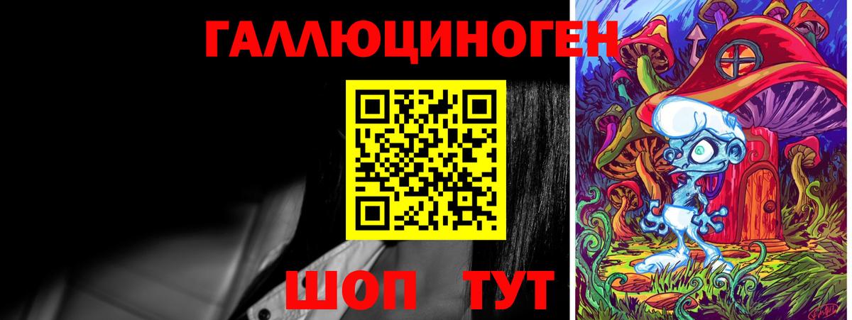Псилоцибиновые грибы Psilocybe Донецк